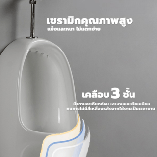 Gallery item 7