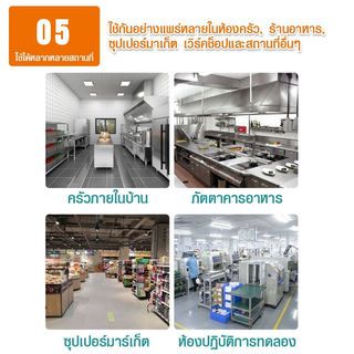 Gallery item 6