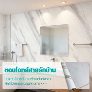 Gallery item 4