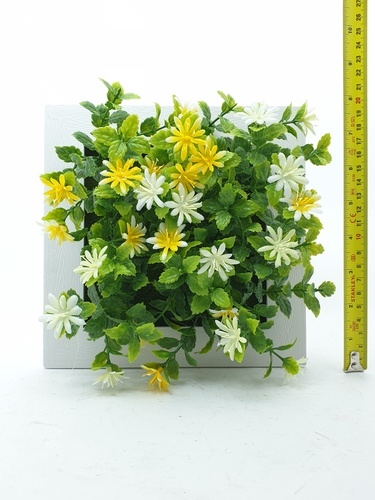 Gallery item 6