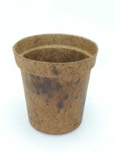 Gallery item 1
