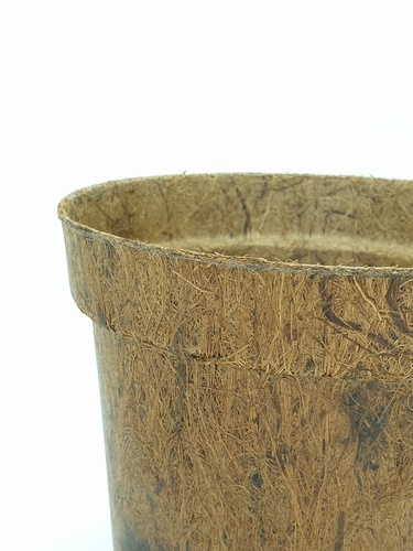 Gallery item 5