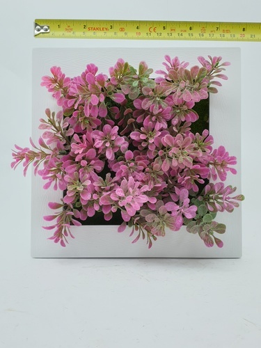 Gallery item 4