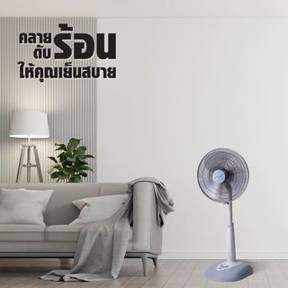 Gallery item 2