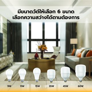 Gallery item 7