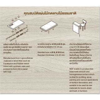 Gallery item 3