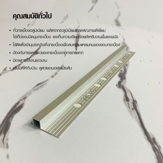 Gallery item 7