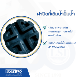 Gallery item 3