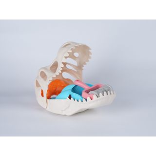 Gallery item 4