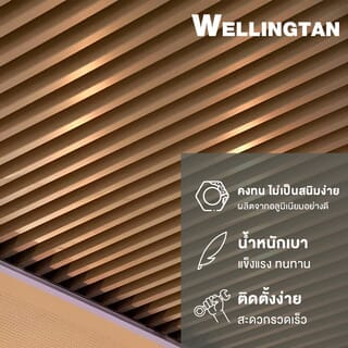 Gallery item 4