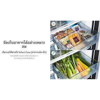 Gallery item 7