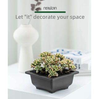 Gallery item 1