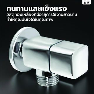 Gallery item 3