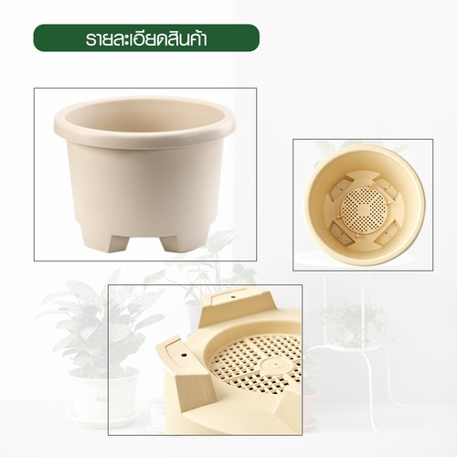 Gallery item 6