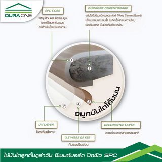 Gallery item 4