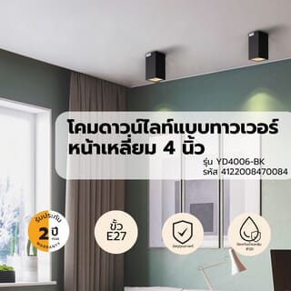 Gallery item 9