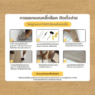 Gallery item 10