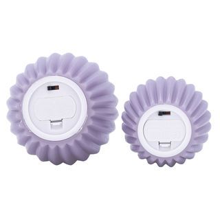 Gallery item 7