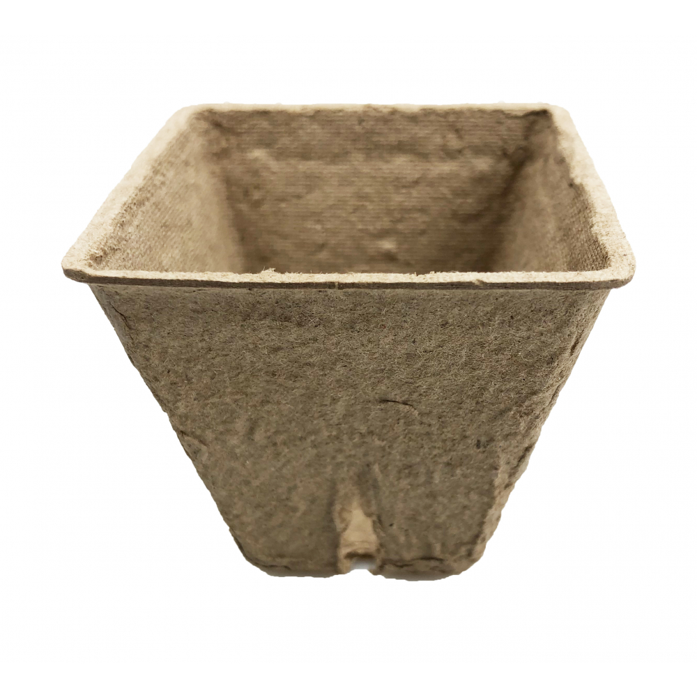 Gallery item 2