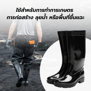 Gallery item 3