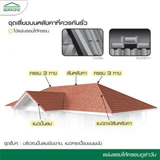 Gallery item 5