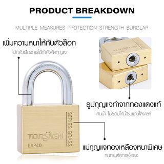 Gallery item 8