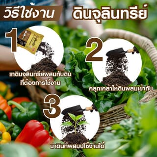 Gallery item 5