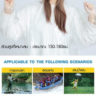 Gallery item 6