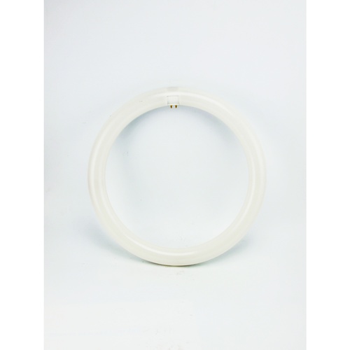 Gallery item 3