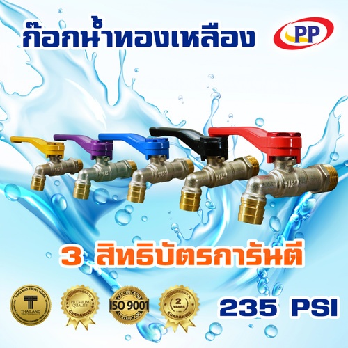 Gallery item 5
