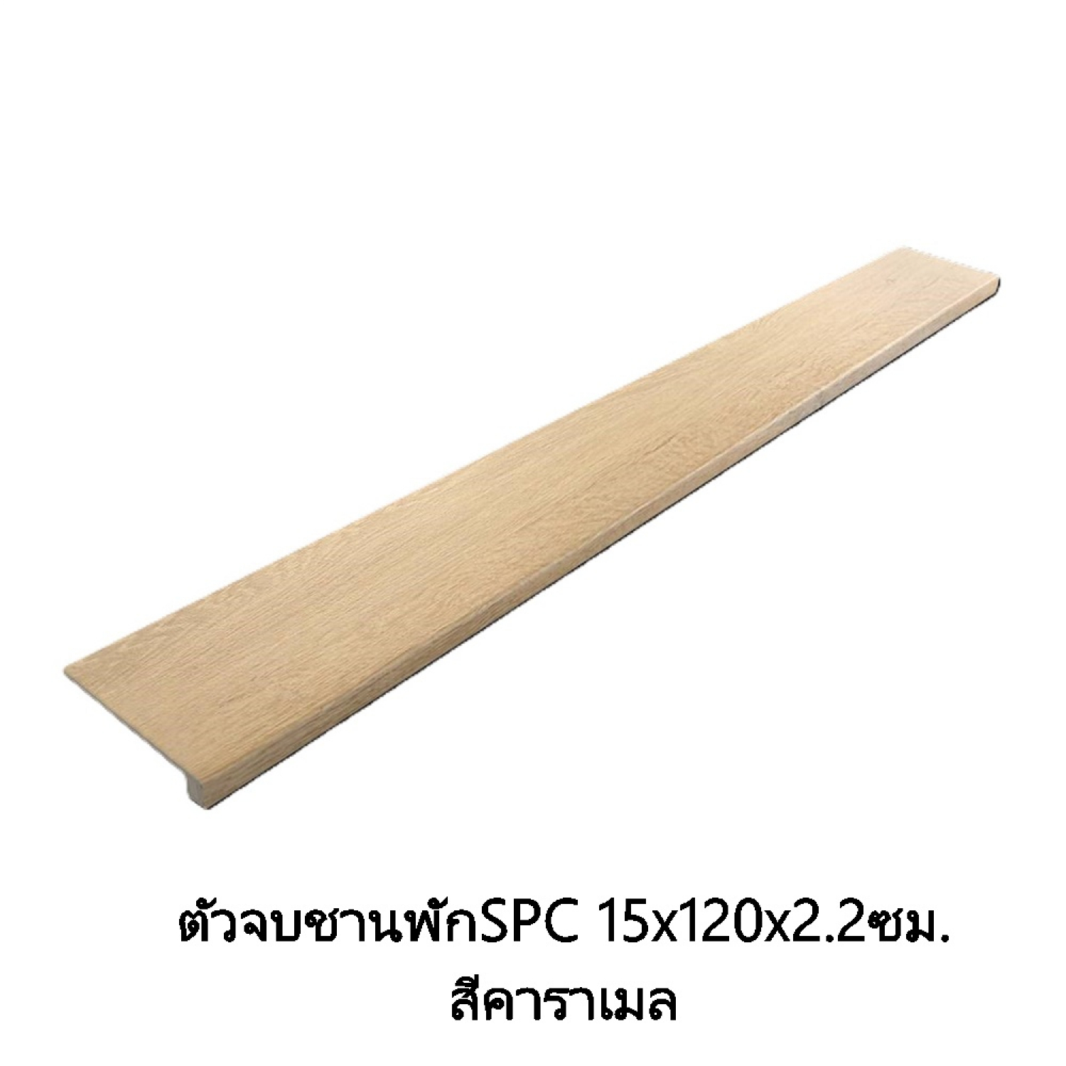 Gallery item 1