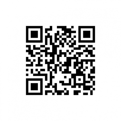 Gallery item 4