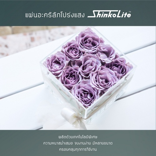 Gallery item 5
