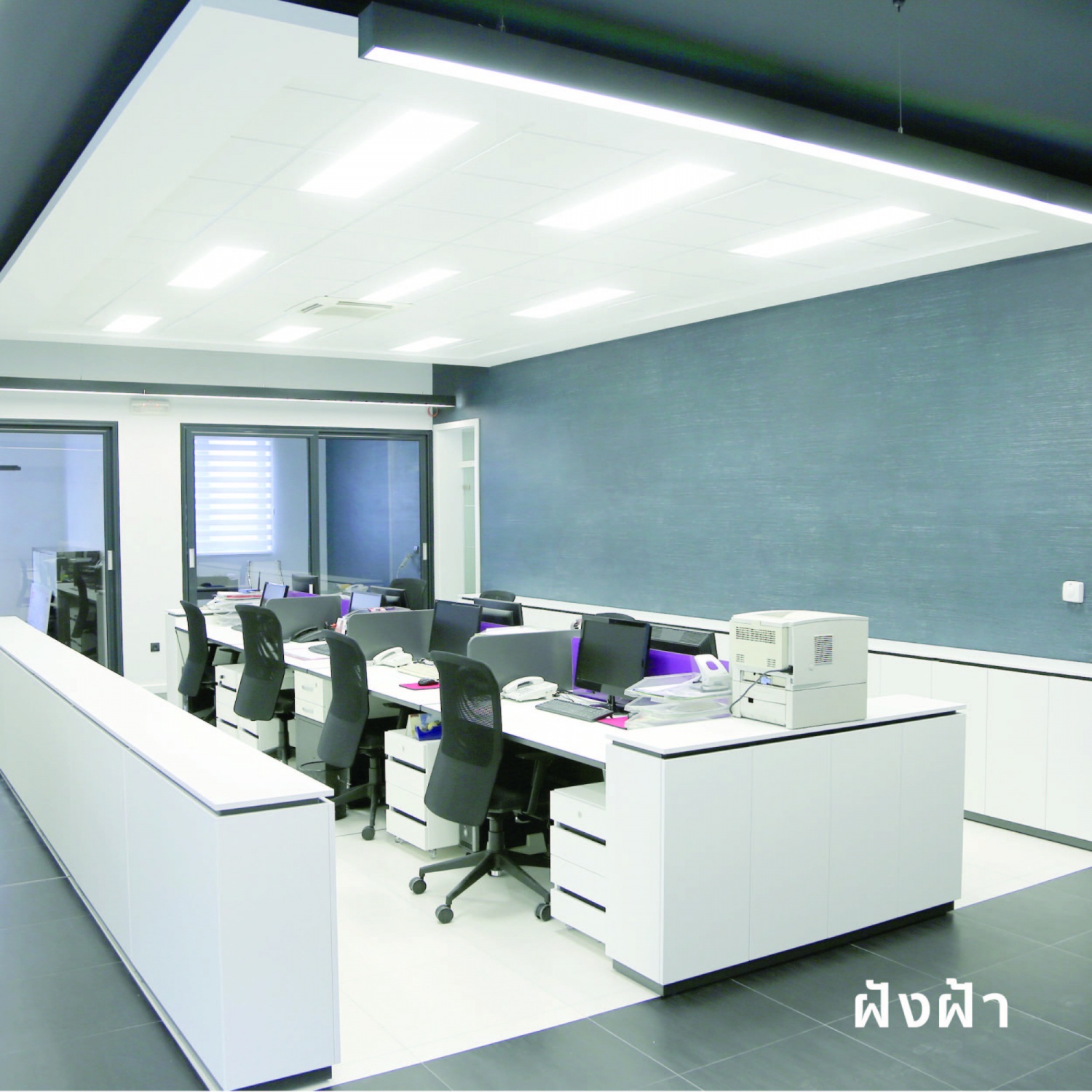 Gallery item 10