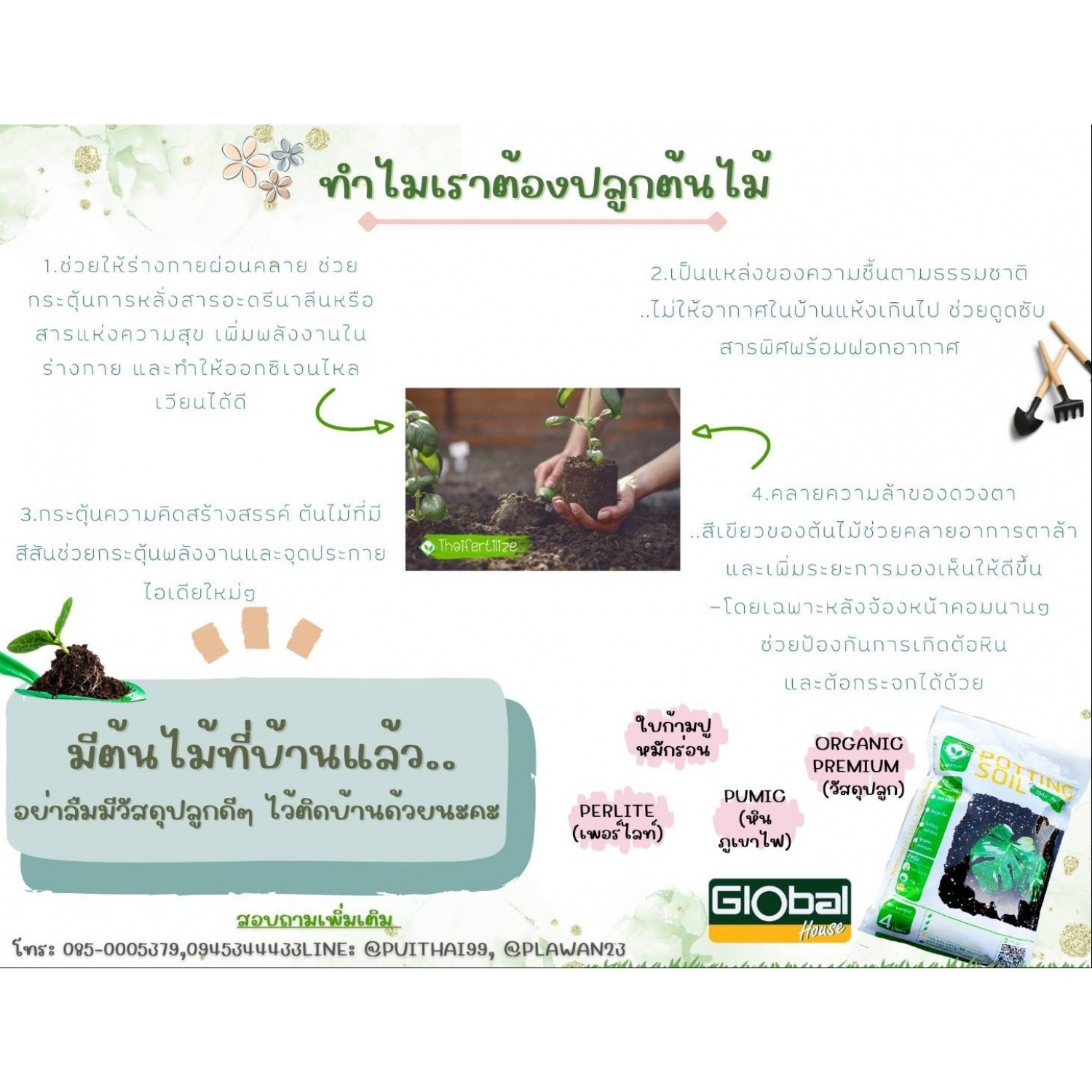 Gallery item 4