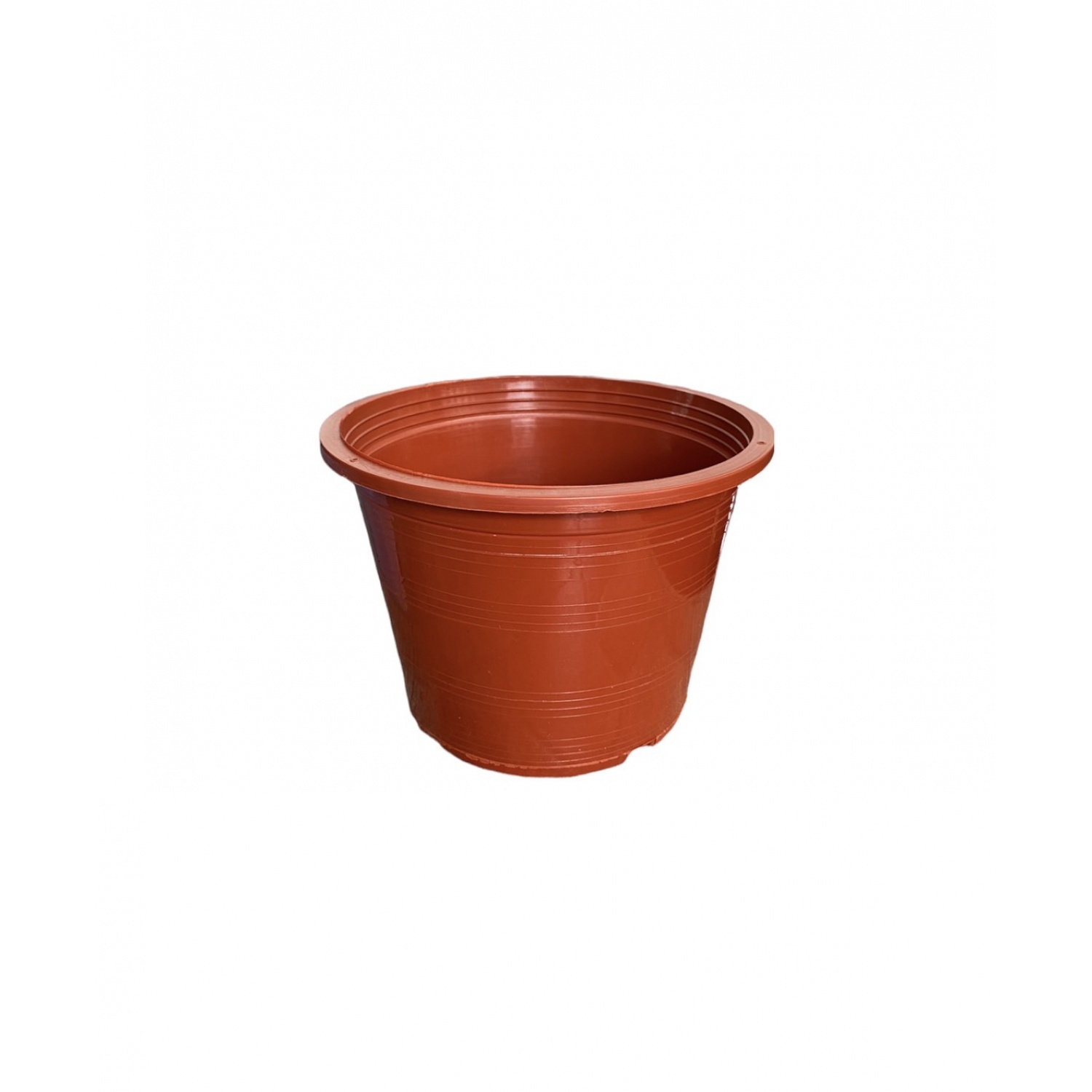 Gallery item 2