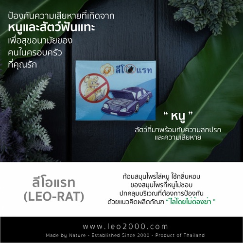 Gallery item 6