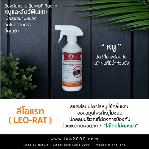 Gallery item 6