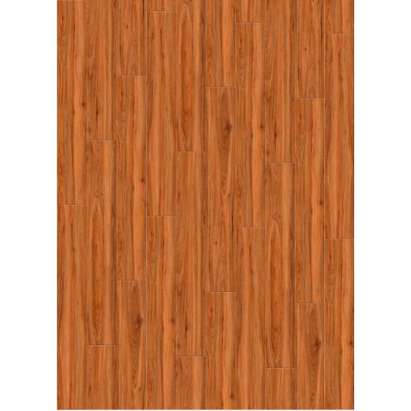 Gallery item 10