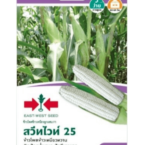 Gallery item 6