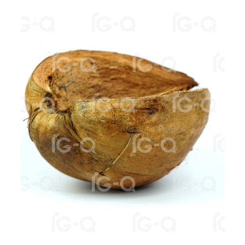 Gallery item 10
