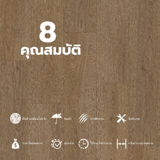 Gallery item 7