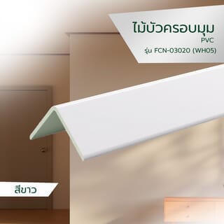 Gallery item 2