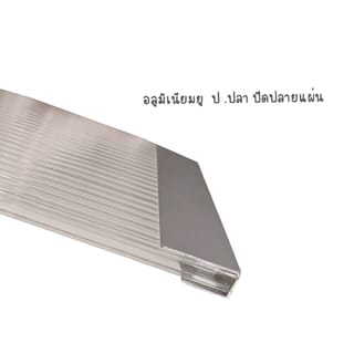 Gallery item 4