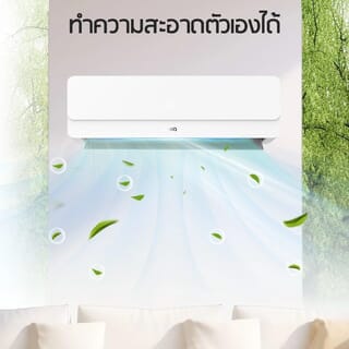 Gallery item 10