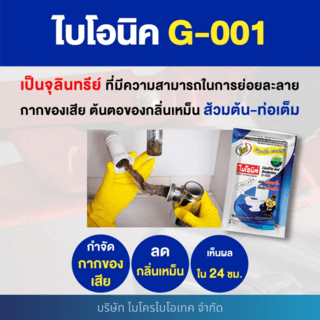 Gallery item 3