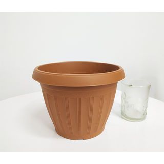 Gallery item 5