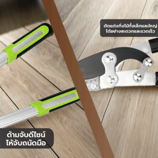Gallery item 2