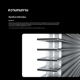 Gallery item 6