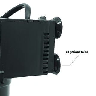 Gallery item 7